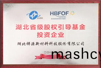 湖北省(sheng)级股权引导基(ji)金投资企(qi)业