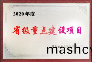 省(sheng)级重点(dian)建设项(xiang)目