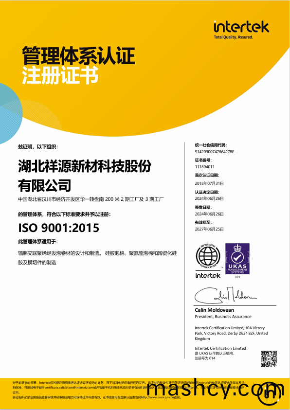 ISO 9001